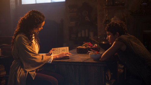 White Stork Spreads Wings