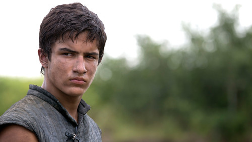 White Stork Spreads Wings